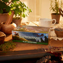 Magic: The Gathering — Bloomburrow Play Booster Display (36) EN